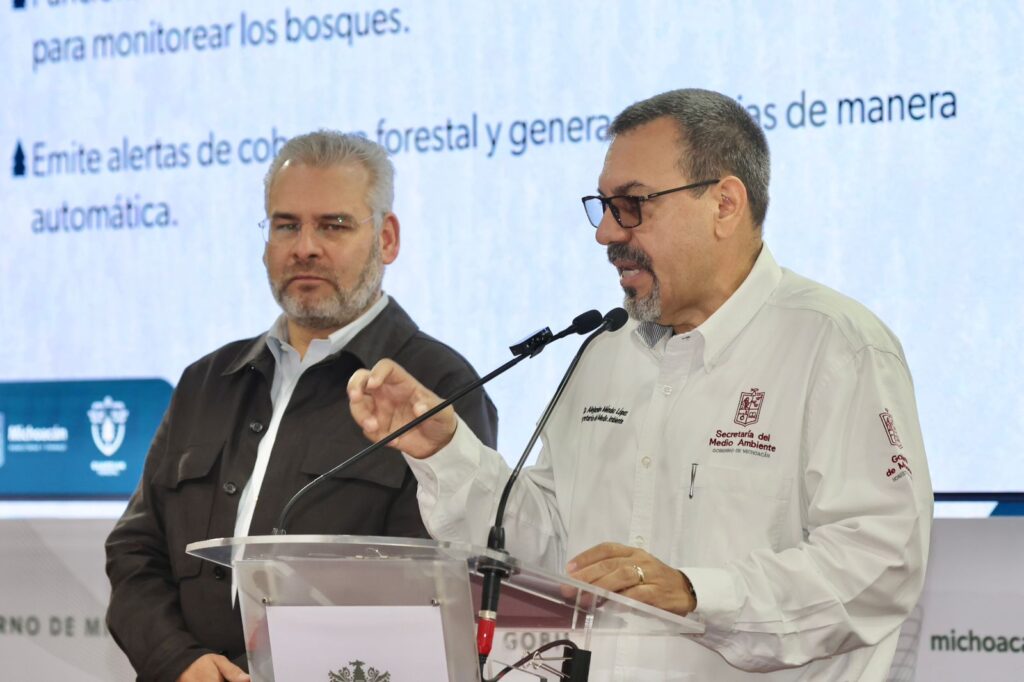 Se envió a empaques de aguacate, lista de huertas que incurrieron en deforestación: Bedolla